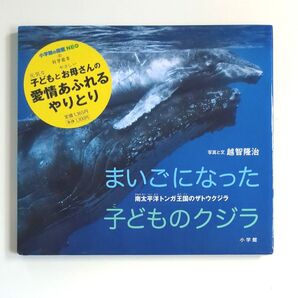 【宛名付きサイン入り】まいごになった子どものクジラ 南太平洋トンガ王国のザトウクジラ (小学館の図鑑NEOの科学絵本) 越智隆治