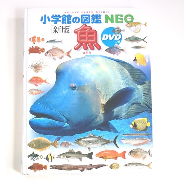 【DVD付き】新版 小学館の図鑑NEO 魚 児童書 絵本 図鑑 さかな 視聴確認済み