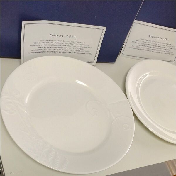 【2点セット】WEDGWOOD プレート Nature 27cm 25cm 洋食器 食器 皿 大皿 白 ウェッジウッド