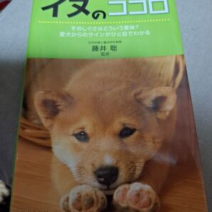 イヌのココロと、防ぐ治す肝臓がんの最新治療