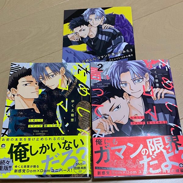 ためしにコマンド言ってみた 1.2巻 アニメイト12P小冊子付き
