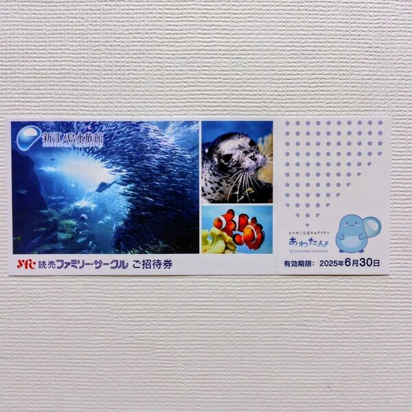 新江ノ島水族館 招待券 1枚