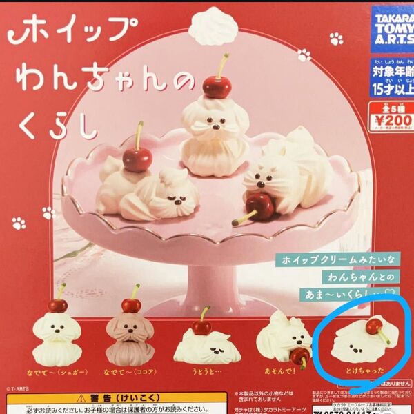 【ホイップわんちゃんのくらし】
