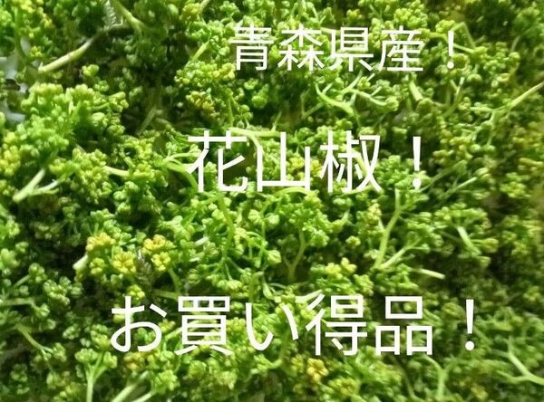 青森県産天然自生花山椒100g!