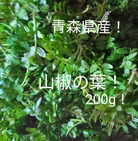 青森県産天然自生山椒の若葉200g!