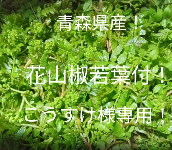 青森県産天然自生花山椒若葉付 100g+10g!
