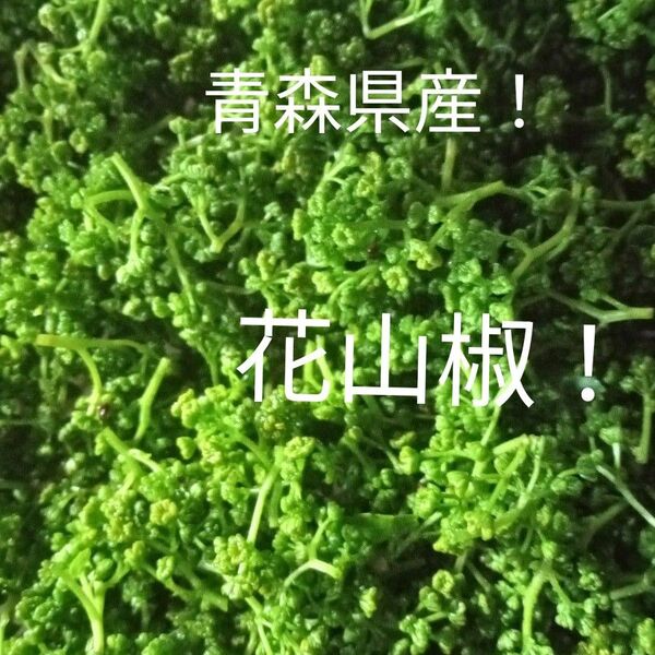青森県産天然自生花山椒50g!