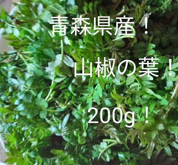 青森県産天然自生山椒の葉200g!