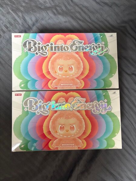 THE MONSTERS Big into Energy ぬいぐるみ アソート 2BOX 最終値下げ!
