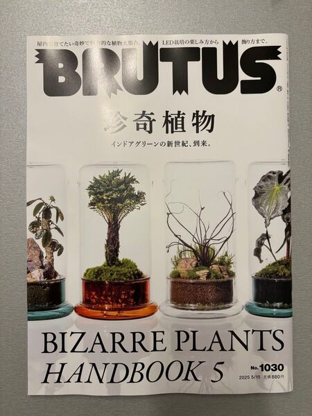 雑誌 BRUTUS ブルータス マガジンハウス No.1030 珍奇植物 2025年 5/15