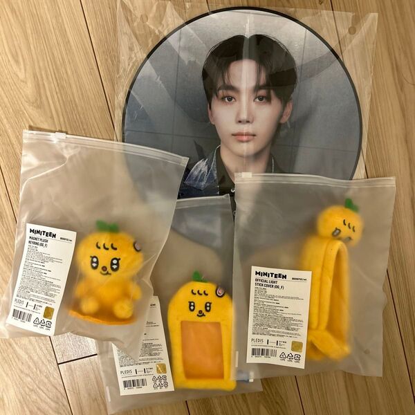 SEVENTEEN スングァン うちわ ミニティーン セット
