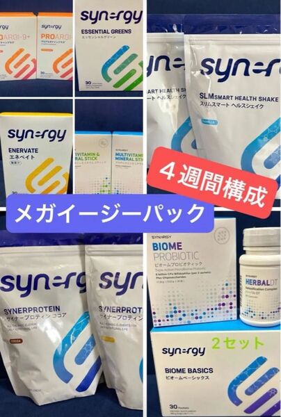 ☆やふたろう様☆メガイージーパック シナジーワールドワイド 体質改善 ゆうパック