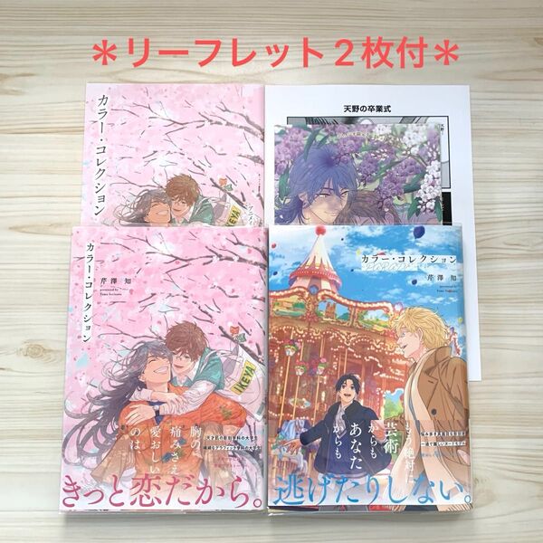 カラー・コレクション -PARADE- 芹澤知 アニメイト コミコミ リーフレット ペーパー