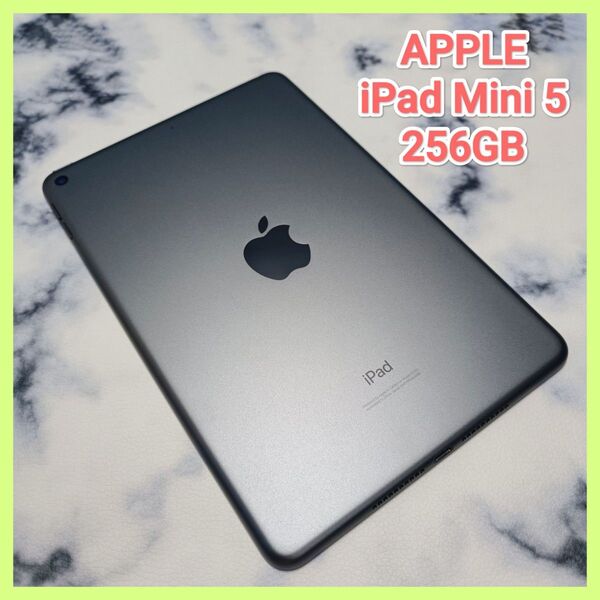 iPad Mini 第5世代 Wi-Fi 256GB バッテリー容量 91%