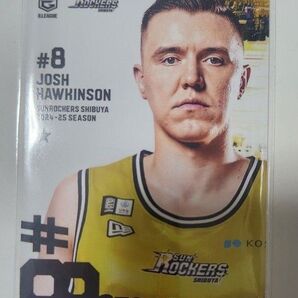 Bリーグリアルカードコレクション ジョシュホーキンソン選手