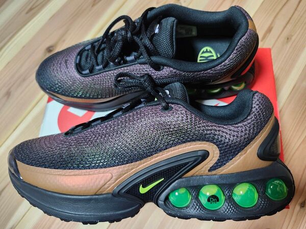 Nike AIR MAX DN オフノワール 29.5cm 箱あり