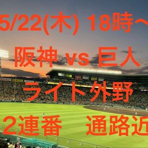 5/22(木) 18時〜 @阪神甲子園球場 阪神 vs 巨人 ライト外野 2連番 通路近