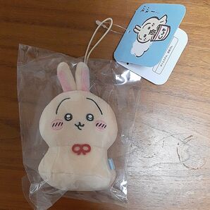 ウラヤハボウズ ちいかわ うさぎ