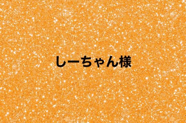 しーちゃん様