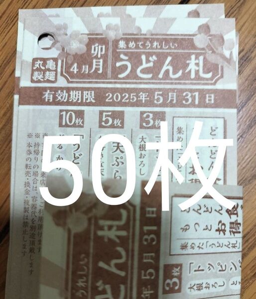 うどん札 50枚 お札コレクションおふだ【5月31日】