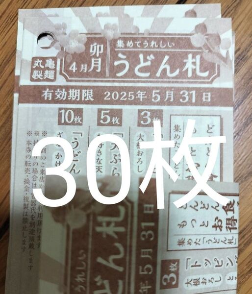 うどん札 30枚 【5月31日】 コレクションおふだ お札