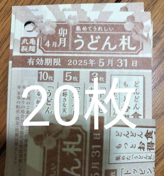 うどん札 20枚 【5月31日】 おふだコレクション
