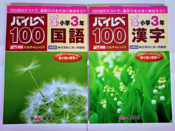 〈2冊セット〉ハイレベ100問題集 国語3年・漢字3年