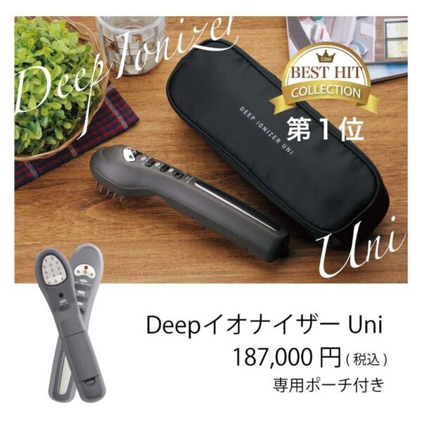 未使用 EBM DEEP IONIZER UNI 美顔器 ディープイオナイザー