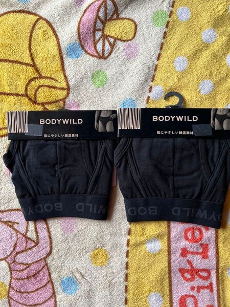ボディワイルド ボクサーブリーフ 新品 L 2枚 BODYWILD GUNZE