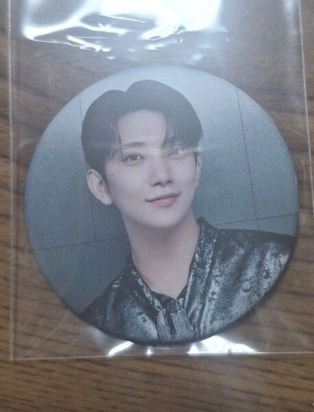 SEVENTEEN セブチ RIGHT HERE WORLD TOUR IN JAPAN ジョシュア 缶バッジ