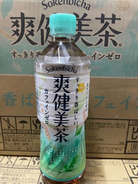 爽健美茶 600ml 1ケース24本