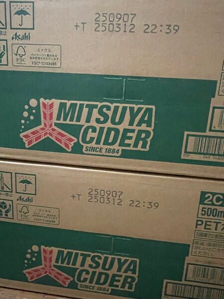 三ツ谷サイダー 500ml 2ケース48本