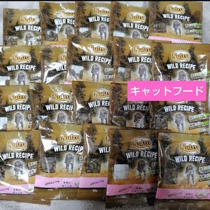 キャットフード ワイルドレシピ 成猫用 試供品 20袋