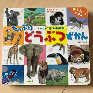たっぷりどうぶつずかん (0・1・2さいのえほん カルタのようにゆびさしあそび) 内山晟/写真