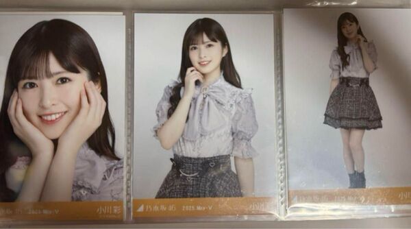 乃木坂46 小川彩 ビッグボウタイブラウス 生写真 コンプ