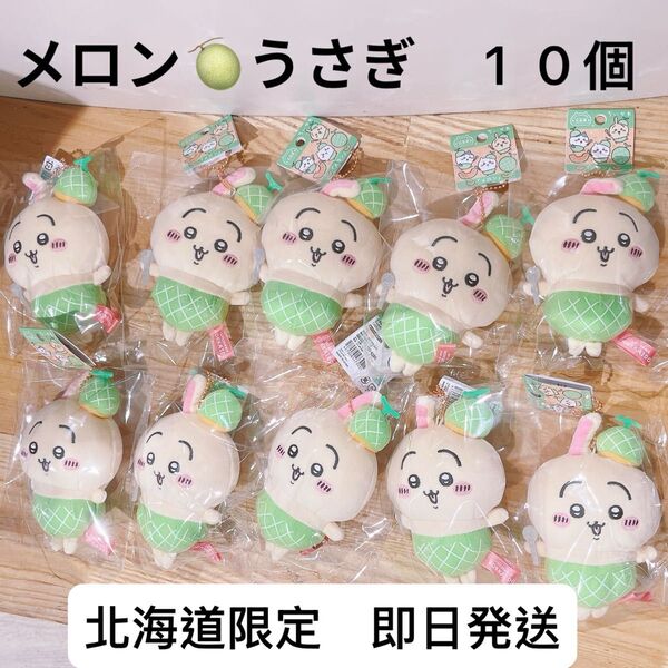 うさぎ 10個セット ちいかわ ご当地マスコット 北海道限定 メロン ぬいぐるみ キーホルダー