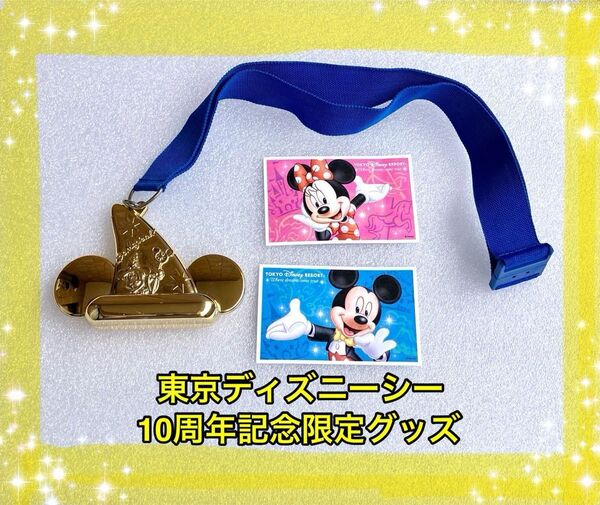 ディズニーリゾート 東京ディズニーシー 10周年記念限定グッズデザイン レアパスポート ゴールド 激レア商品 ペンダント チャーム