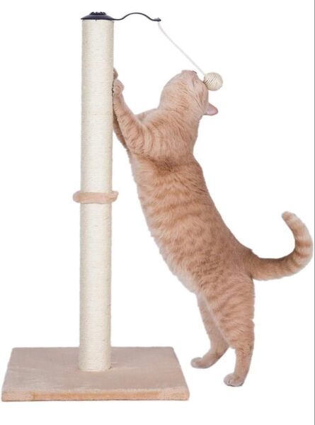 猫の爪プレートグラインダー猫のおもちゃ 猫スクラッチャー ペット製品猫グラブスタンド取り外し可能 (色 : ベージュ)