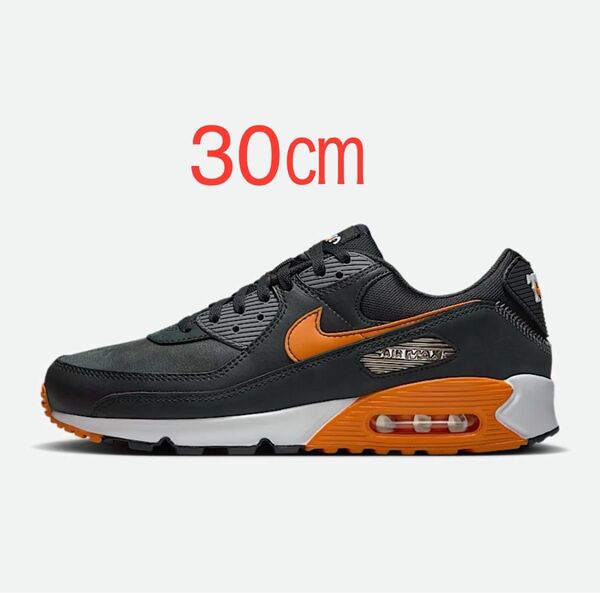 Nike Air Max 90 TOKYO GIANTS 巨人 読売ジャイアンツ