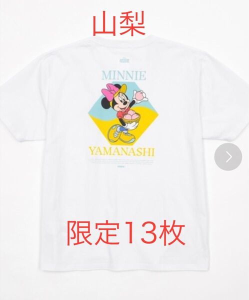 MY HOME TOWN COLLECTION 47PREF 山梨県 Tシャツ