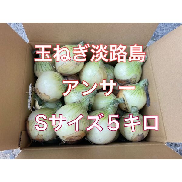 玉ねぎ淡路島 アンサーSサイズ5キロ