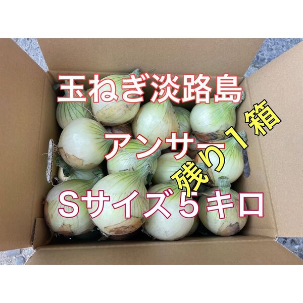 玉ねぎ淡路島 アンサーSサイズ5キロ