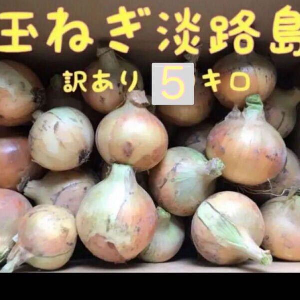 玉ねぎ淡路島 訳ありターザン5キロ