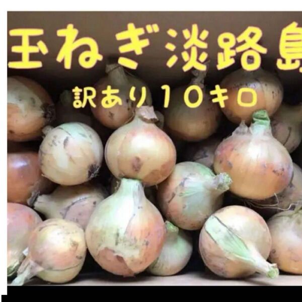 玉ねぎ淡路島 ターザン訳あり10キロ