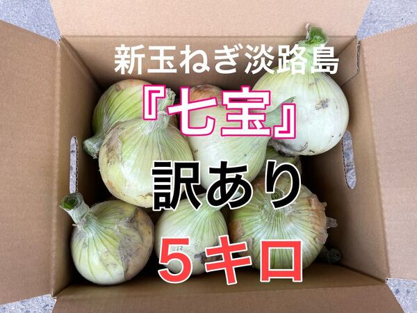 新玉ねぎ淡路島 訳あり七宝 5キロ