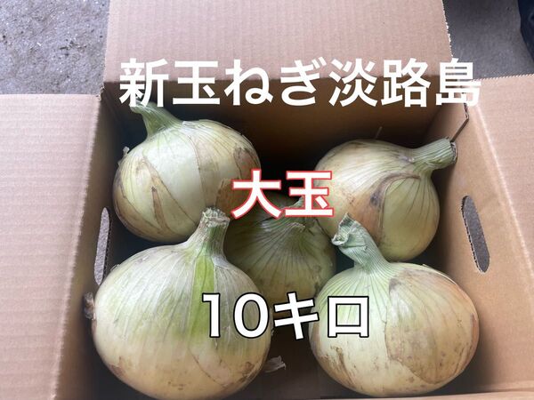 新玉ねぎ淡路島 七宝大玉10キロ