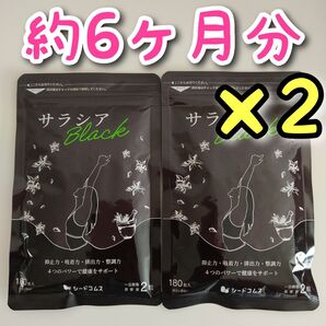 サラシアブラック サプリ 約12ヶ月分 チャコール ダイエット