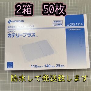ニチバン カテリープラス 25枚入×2箱