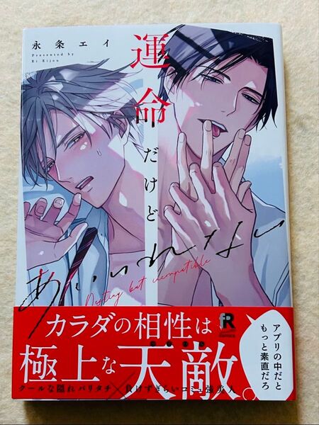 運命だけどあいいれない☆ 永条エイ☆BLコミックス