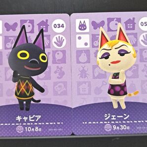 【国内正規品】あつまれどうぶつの森 amiiboカード キャビア&ジェーン 2枚セット